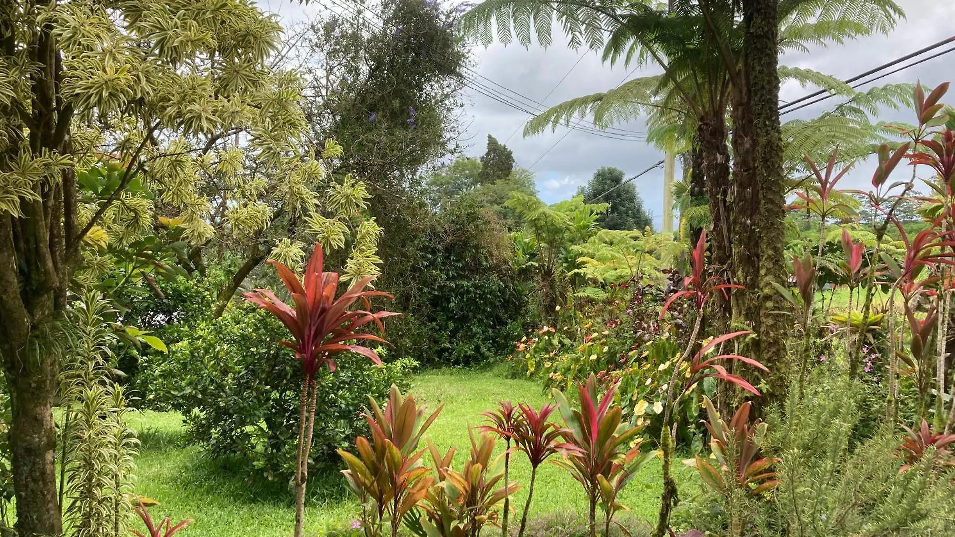 House Of Light Sanctuary Apartment Hilo United States