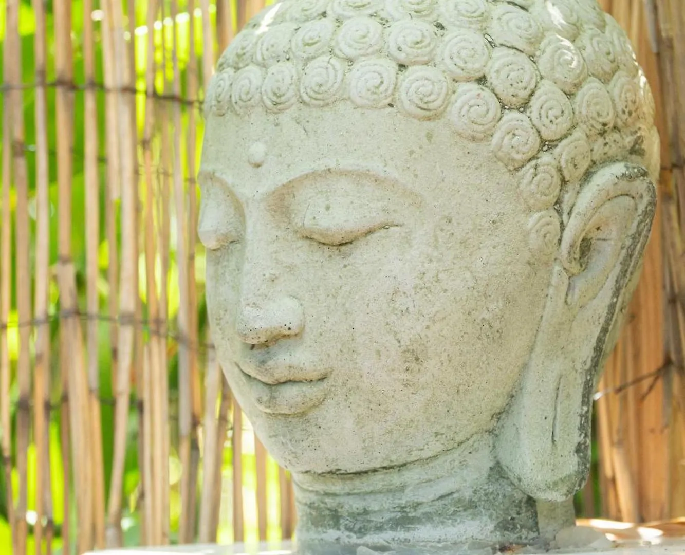 Homestay House Of Light Sanctuary Apartment Hilo