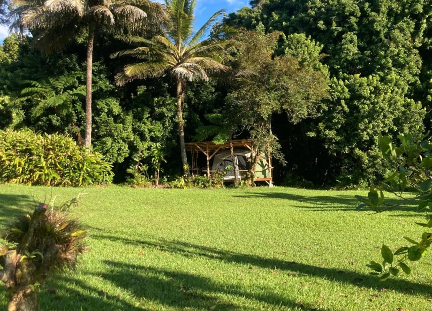 Homestay House Of Light Sanctuary Apartment Hilo